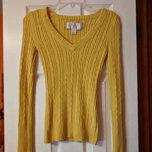 American Eagle Outfitters Sweater